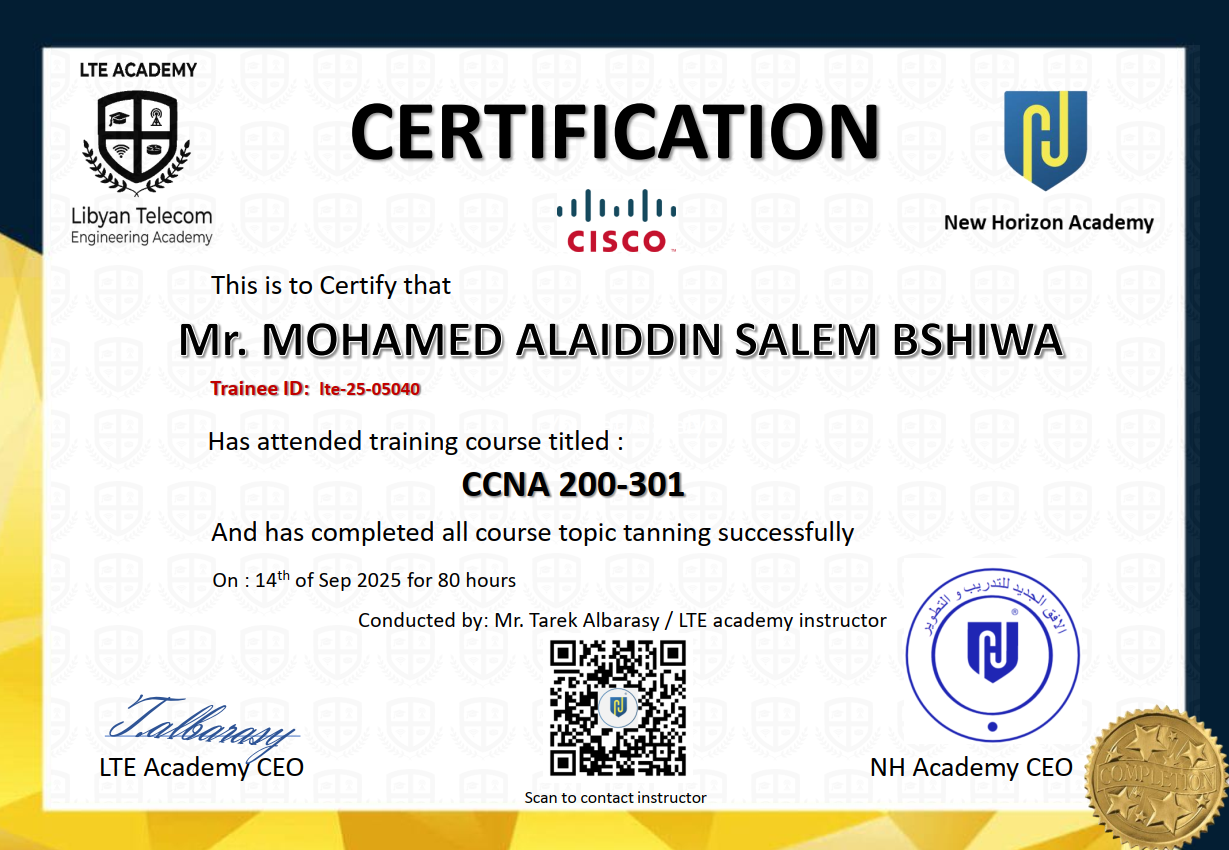 MOHAMED ALAIDDIN SALEM BSHIWA